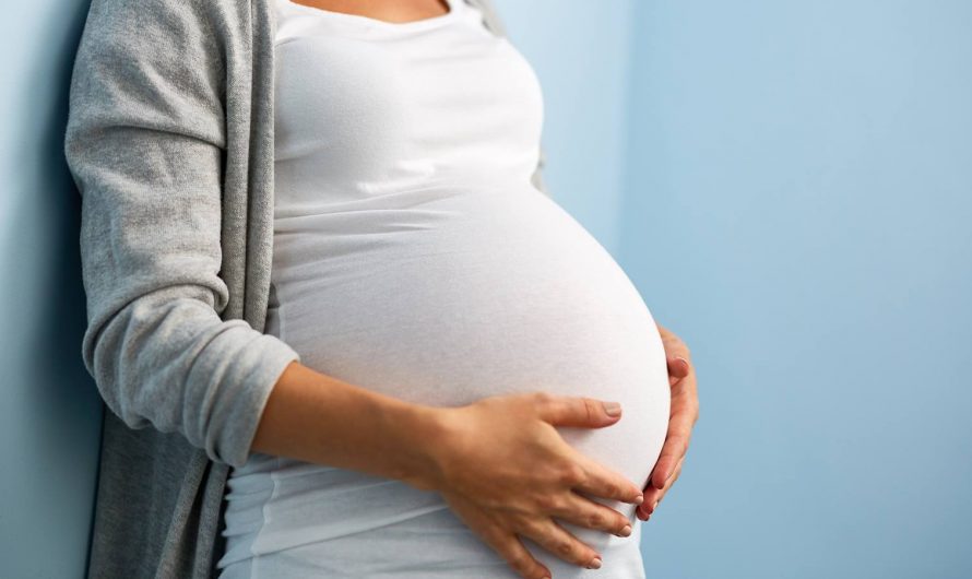 Fertility and Pregnancy Spells
